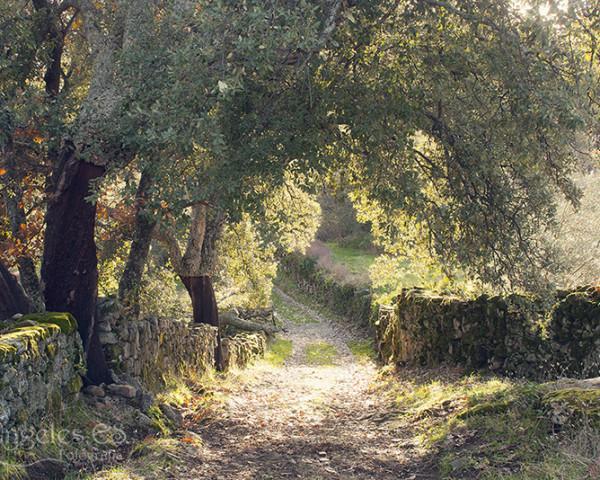 Villa Sierra De Gata Santibanez el Alto エクステリア 写真